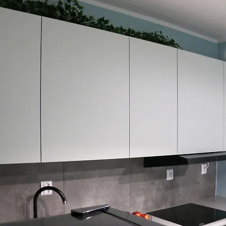 Apartament Asia *